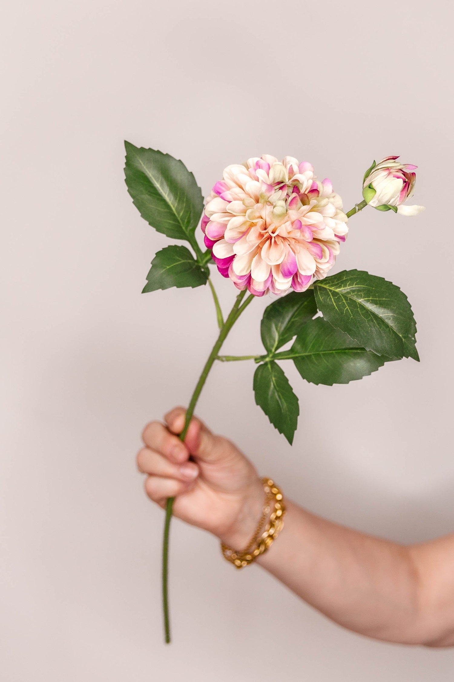 Individual Stems