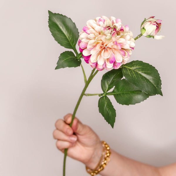 Individual Stems