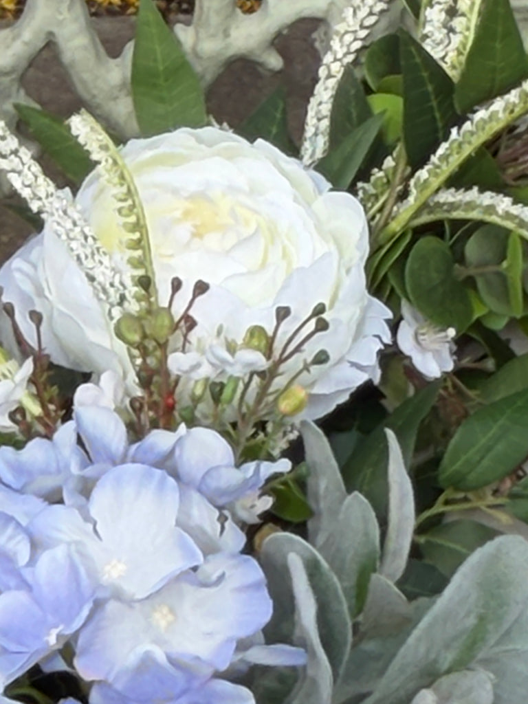 The Violet