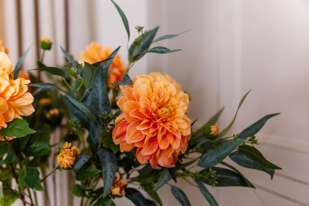 The Austell – Orange