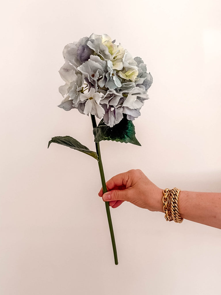 Hydrangea French - Blue Grey