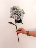 Hydrangea French - Blue Grey