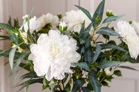 The Austell – Cream