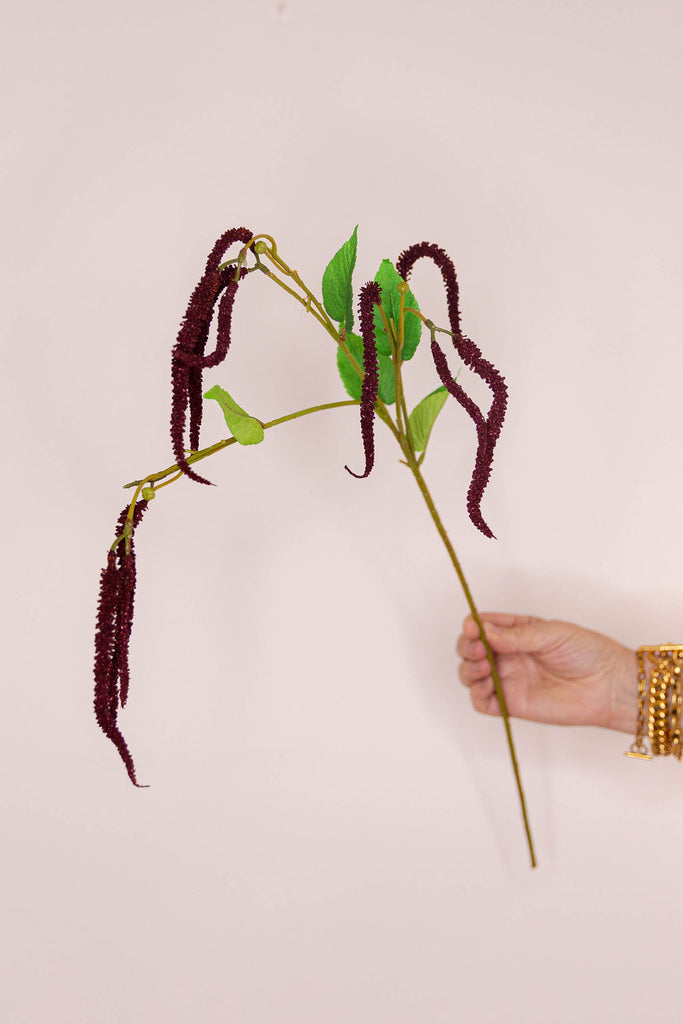 Catkin - Claret
