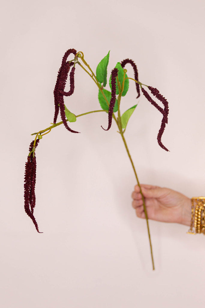 Catkin - Claret