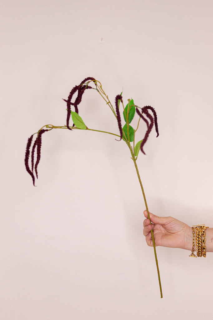 Catkin - Claret