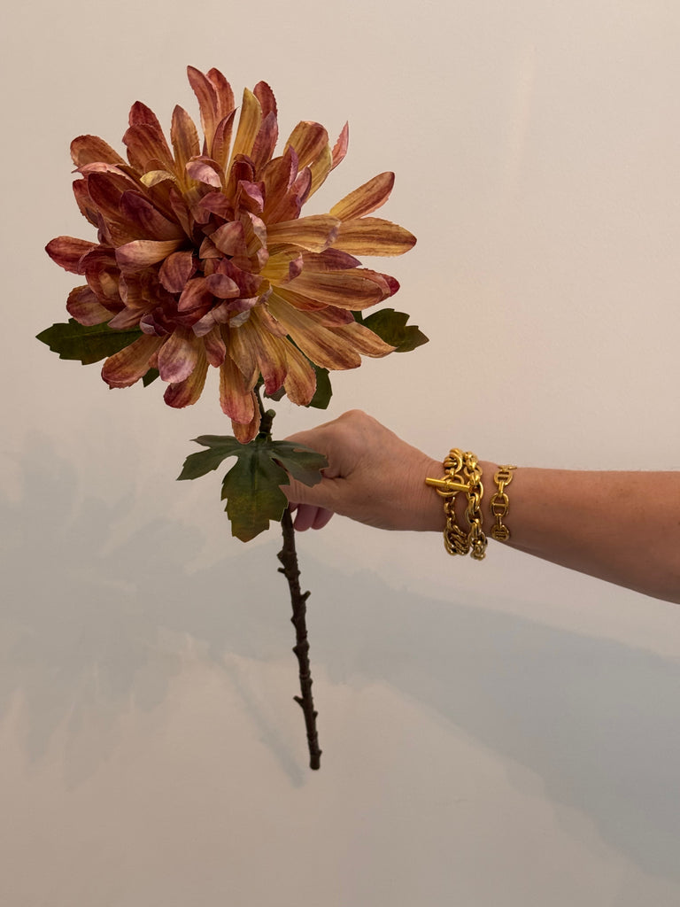 Chrysanthemum single stem Honey