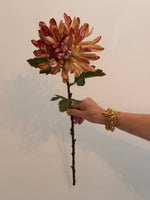 Chrysanthemum single stem Honey