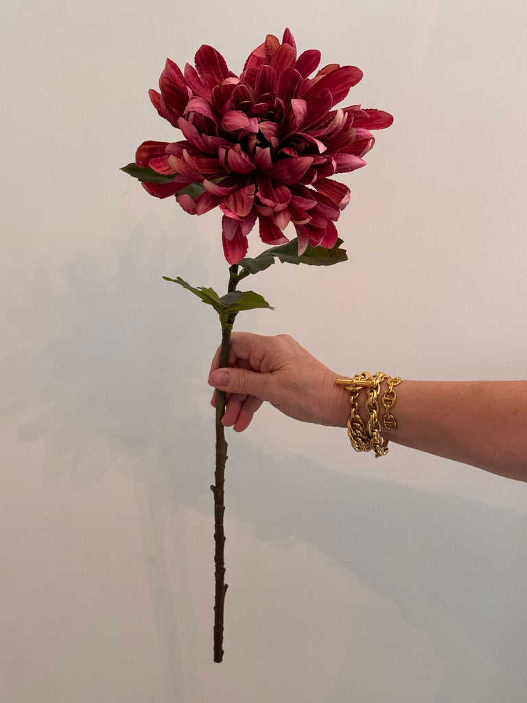 Chrysanthemum single stem Russet