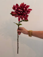 Chrysanthemum single stem Russet
