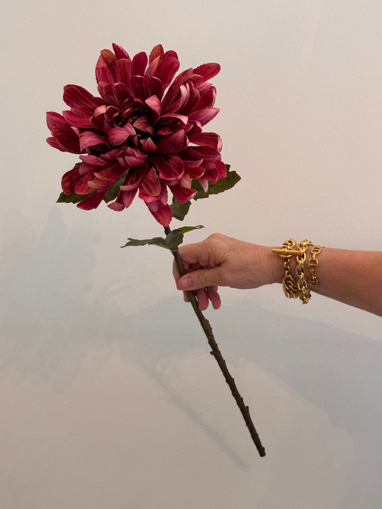 Chrysanthemum single stem Russet