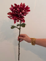 Chrysanthemum single stem Russet