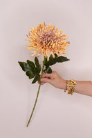 Chrysanthemum Honey Silk