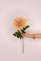 Chrysanthemum Honey Silk