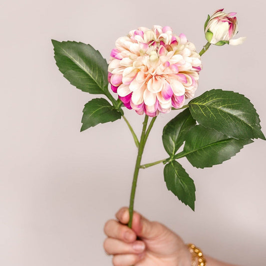 faux floral Dahlia Pom Pom - Nude and Fuchsia