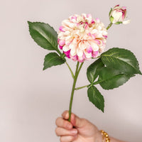 Dahlia Pom Pom - Nude and Fuchsia