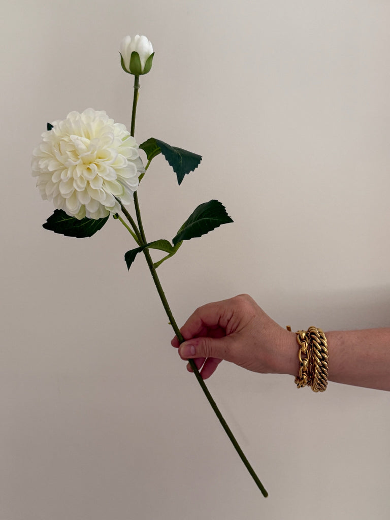 Dahlia Pom Pom – Cream