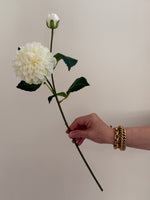 Dahlia Pom Pom – Cream