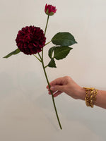 Dahlia Pom Pom - Magenta