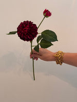 Dahlia Pom Pom - Magenta