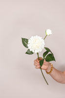 Dahlia Pom Pom – Cream