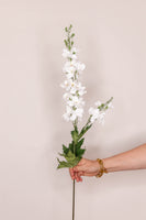 Delphinium Larkspur  real touch– Ivory