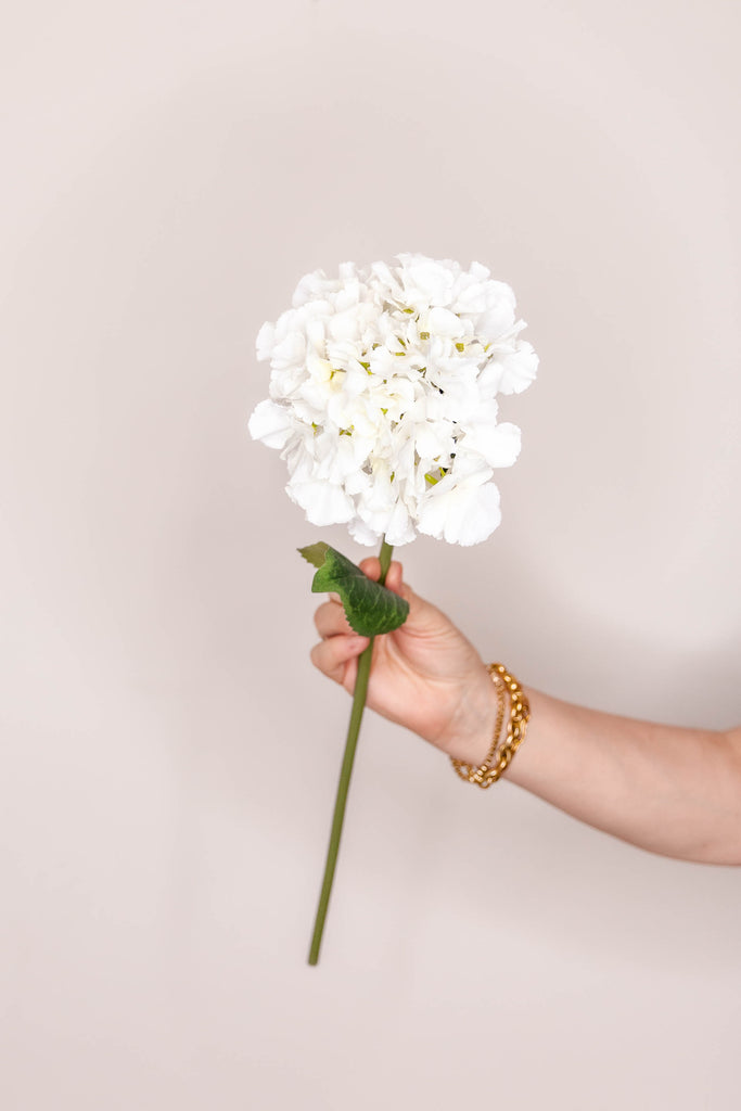 Hydrangea French - Cream