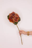 Hydrangea Real Touch - Burnt Orange