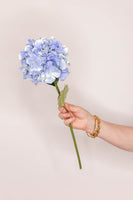 Hydrangea French - Blue