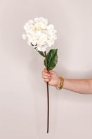 Hydrangea silk mop head - Ivory