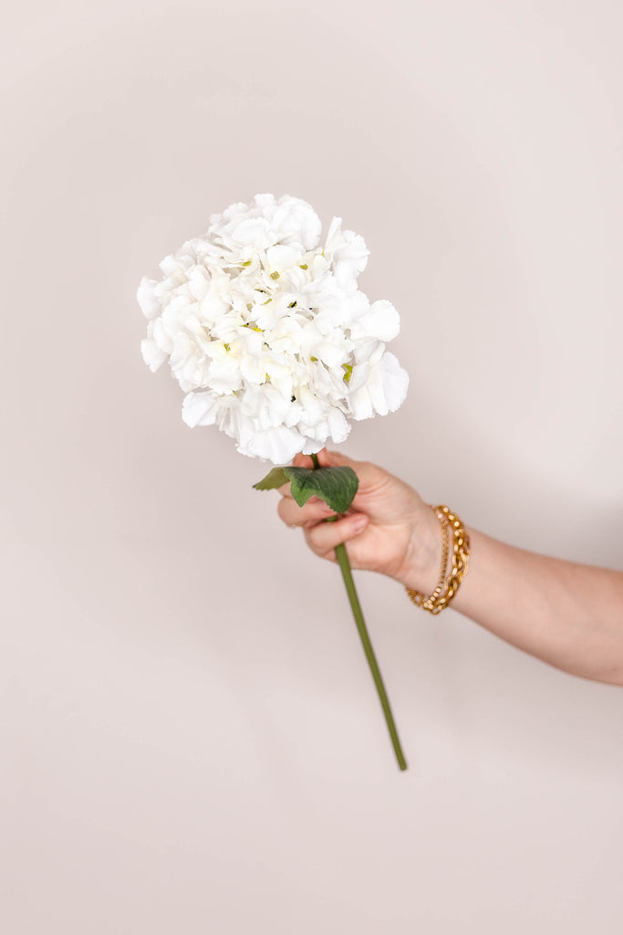 Hydrangea French - Cream