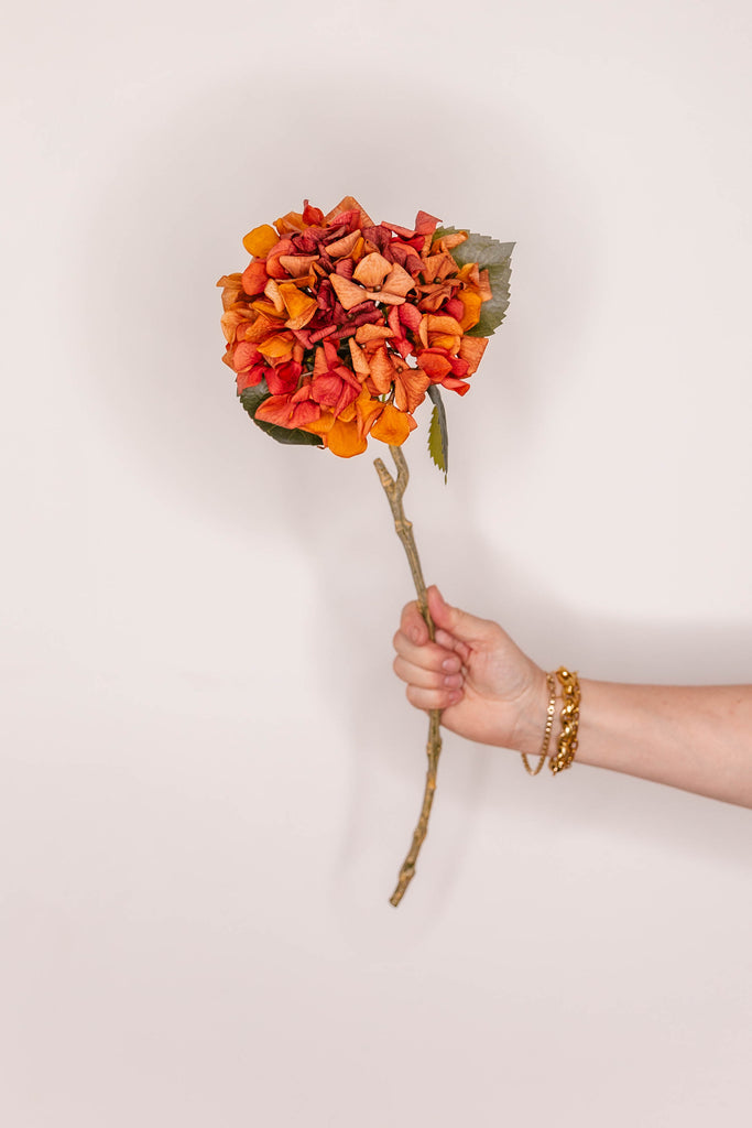 Hydrangea  real touch – Burnt Orange