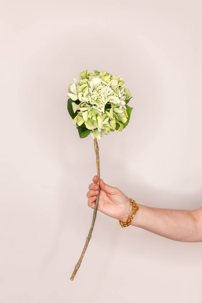 Hydrangea real touch - Green