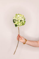 Hydrangea real touch - Green