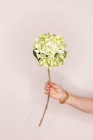 Hydrangea real touch - Green