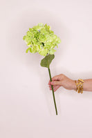 Hydrangea Real Touch - Green