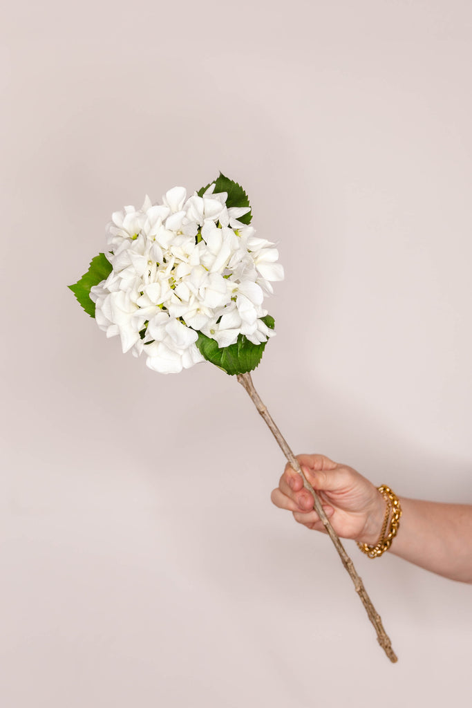 Hydrangea real touch - Ivory