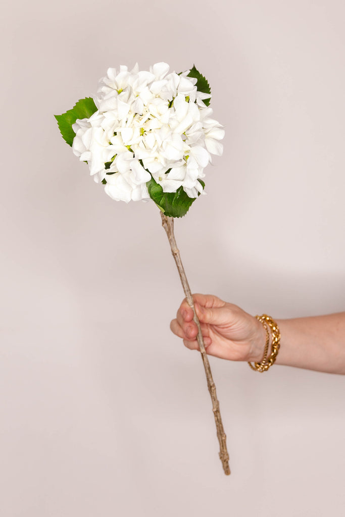 Hydrangea real touch - Ivory