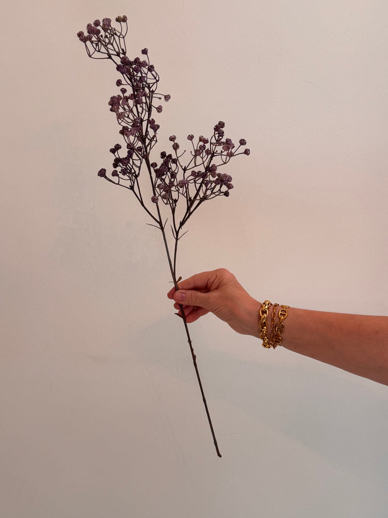 Gypsophila - Purple - Linium