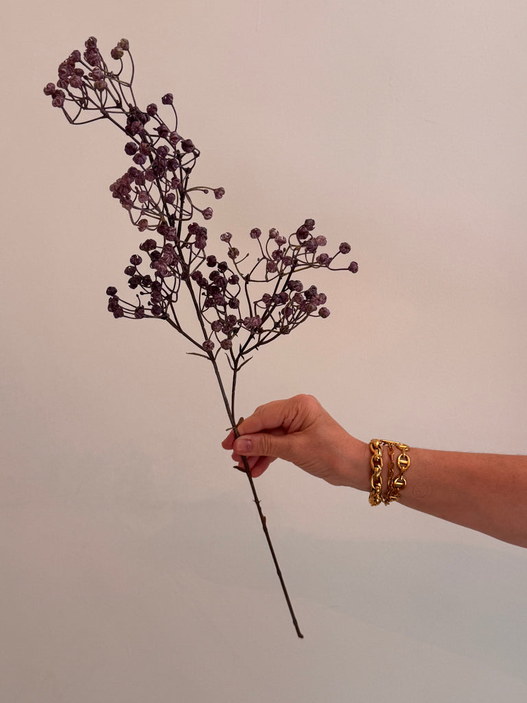 Gypsophila - Purple - Linium