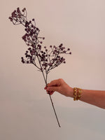Gypsophila - Purple - Linium