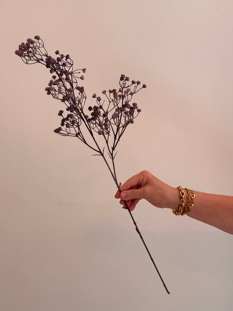 Gypsophila - Purple - Linium