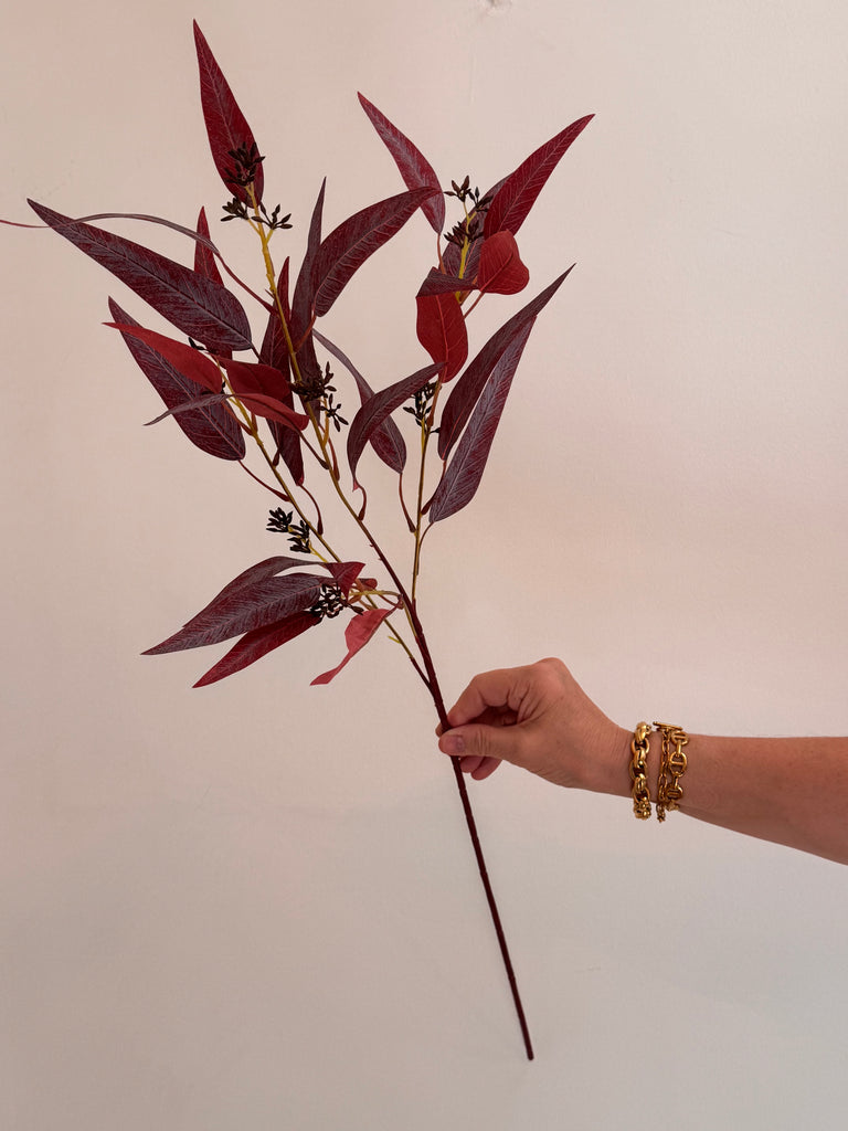 Eucalyptus Nicholii Marsala Red