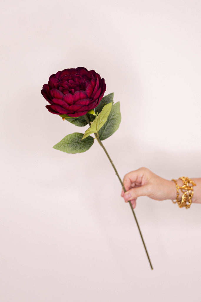 Peony - Deep Red