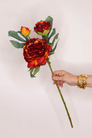 Peony dry touch Russet