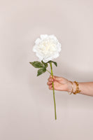 Peony real touch - Cream