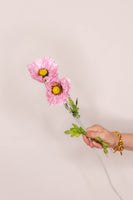 Poppy - Pink