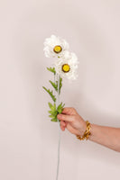 Poppy - Ivory