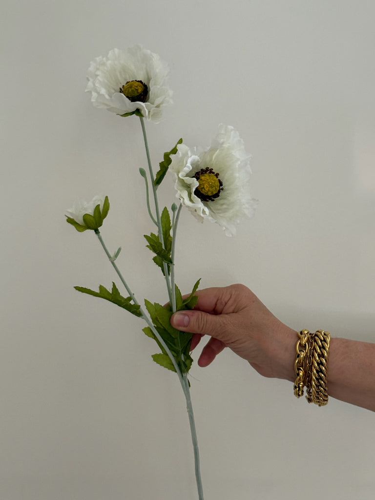 Poppy - Ivory