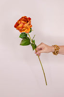 Rose - Burnt Orange